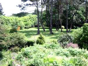 Chambre h'hote chez l'habitant  Roscanvel Presqu'ile de Crozon Finistre, le jardin