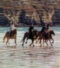 le plaisir d'un galop sur la plage  Crozon-Morgat