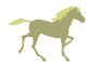 Cheval au galop Crozon Finistre, Equitation Centre Equestre