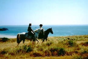 Crozon Finistere Promenade  cheval sur les dunes de l'Aber site naturel