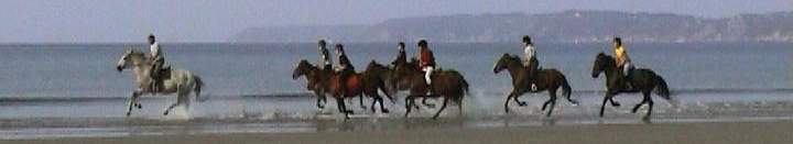 Equitation Centre Equestre  CROZON Finistere, chevaux poneys doubles, en balade un galop sur la plage