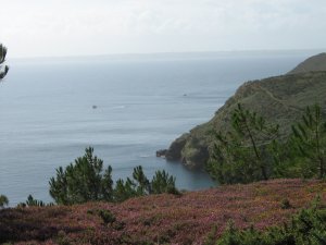 Crozon - Maison de Keravel - Vers le Cap par le sentier douanier