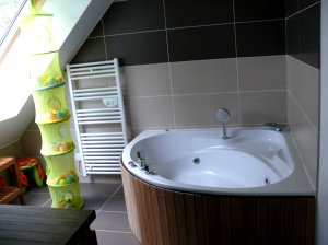 Camaret - Maison de Tr�signeau - Salle-de-bain