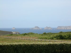 Crozon - Penty  Dinan (Q) - Vue sur Penhir depuis le terrain