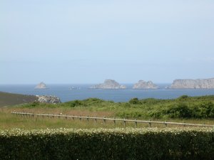 Crozon - Penty  Dinan (Q) - Vue sur Penhir depuis le terrain