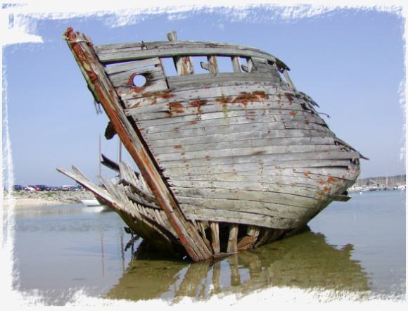 Camaret - �pave dans le port