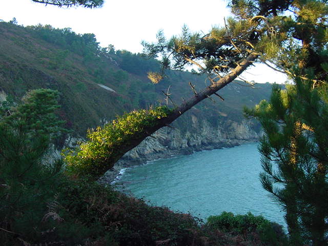 CROZON, Morgat, Presqu'ile de Crozon Finistre, Bout du monde, le site naturel de l'Ile Vierge, les pins, les falaises....