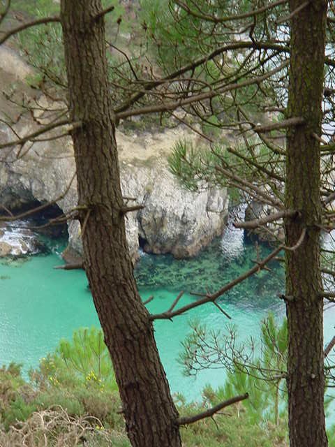 CROZON, Presqu'ile de Crozon Finistre, en Bretagne, Bout du Monde, le site naturel de l'Ile Vierge, ses roches, sa crique, les falaises, les pins et la lumire....