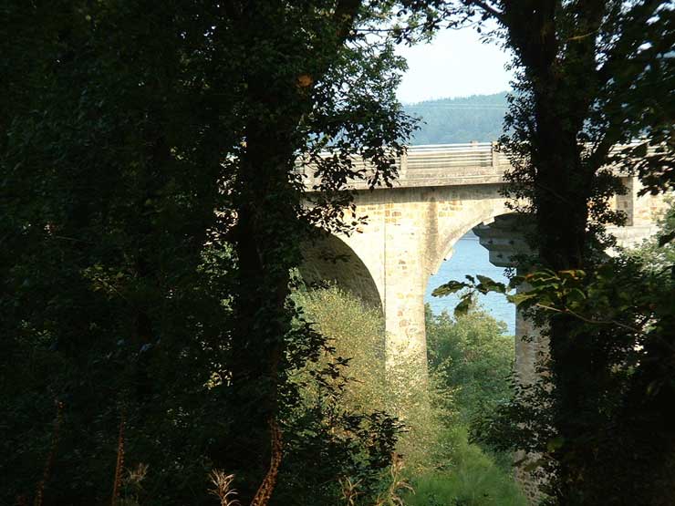 Le Pont de Trnez : Vue du bois des rives 