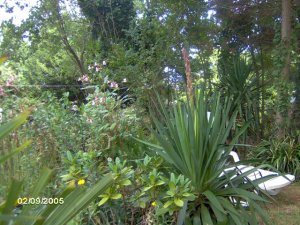 Crozon - Penty de St-Gunol - Autre vue du jardin