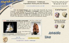 Minraux et fossiles - Crozon - Finistre - Bretagne